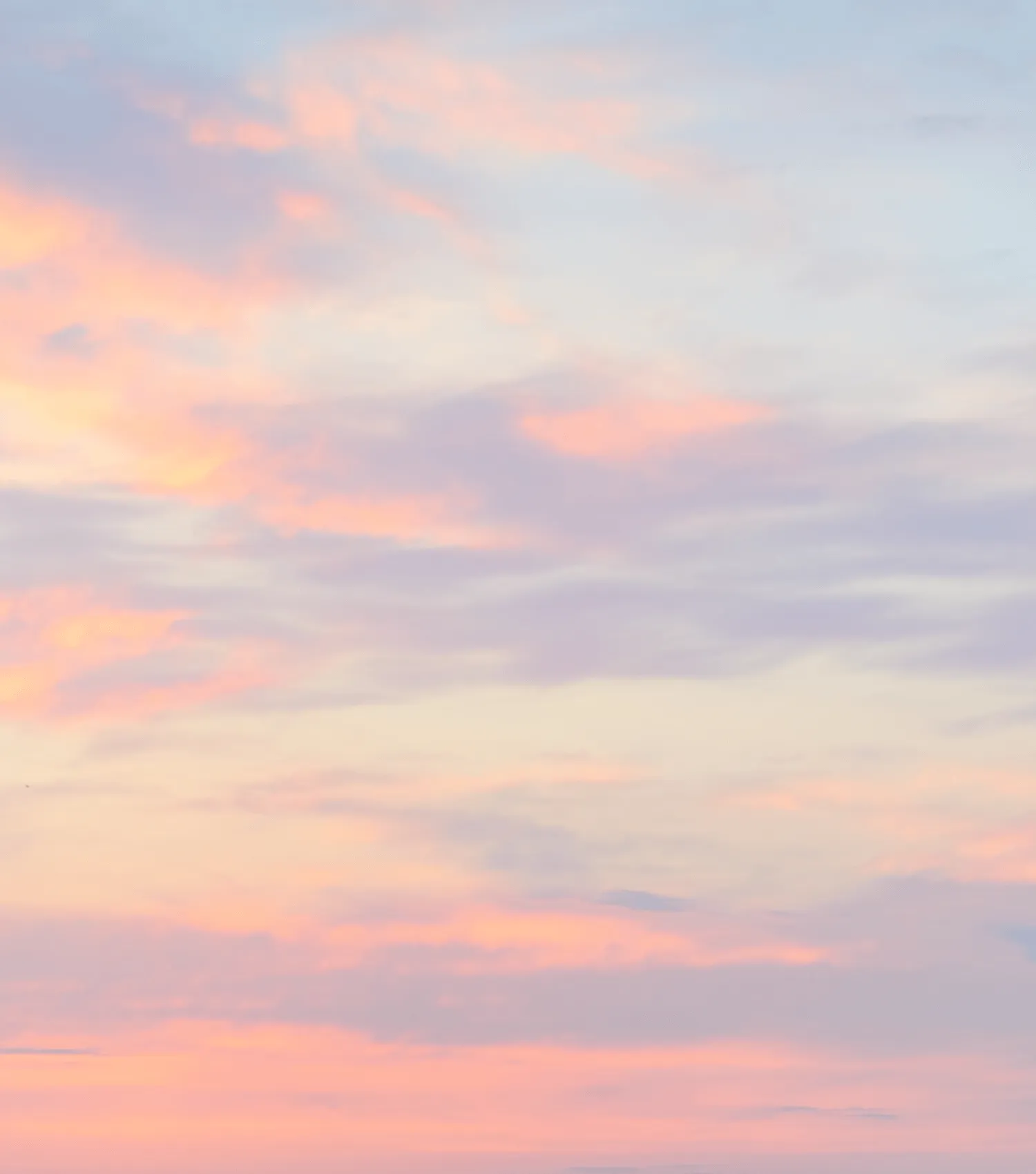 空背景